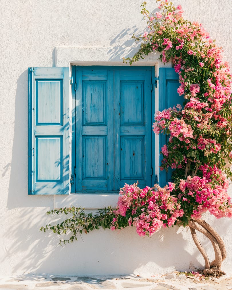 White stucco wall with blue shutters and vibrant pink bougainvillea climbing around a window.